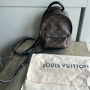 Louis Vuitton Palm Springs Mini Backpack